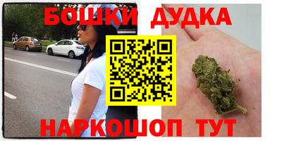 МДПВ Канаш
