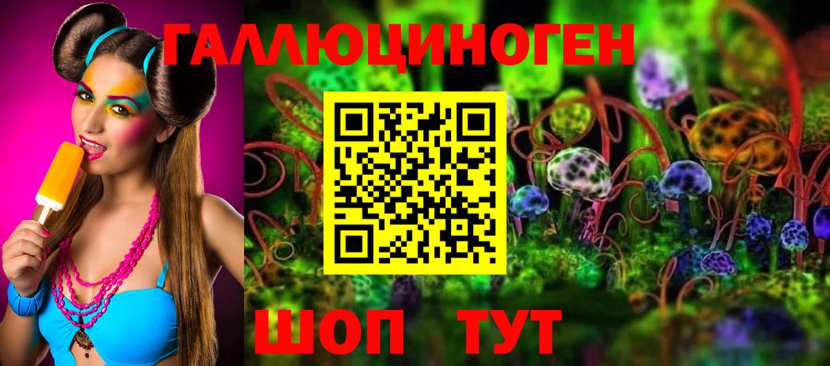 Псилоцибиновые грибы Cubensis  Вход с VPN  Кыштым 