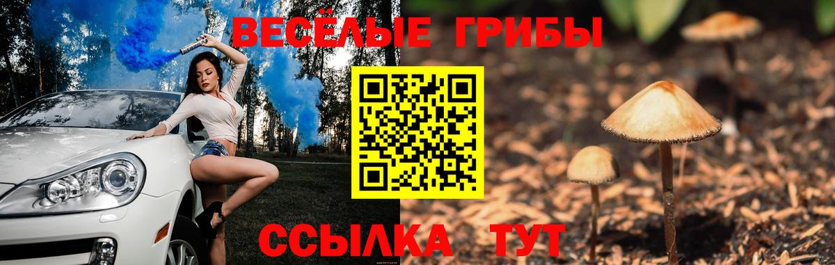 Псилоцибиновые грибы мухоморы Кыштым
